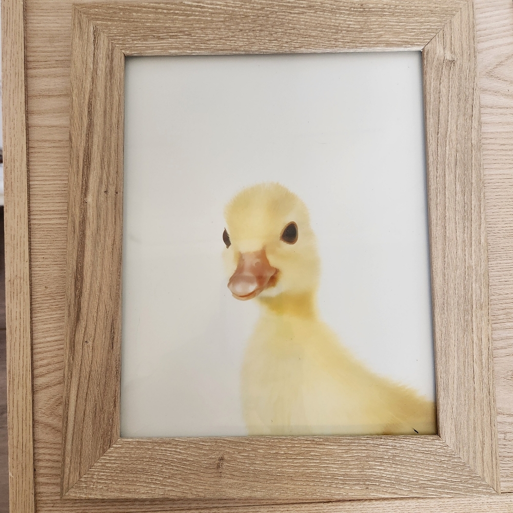 Room Essentials Alabaster Oak Frame w/ Baby Duck Duckling Art
